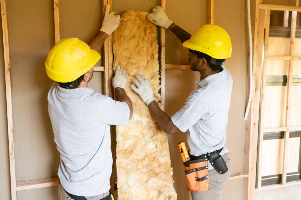 Types of Insulation We Offer in Kualapuu, HI